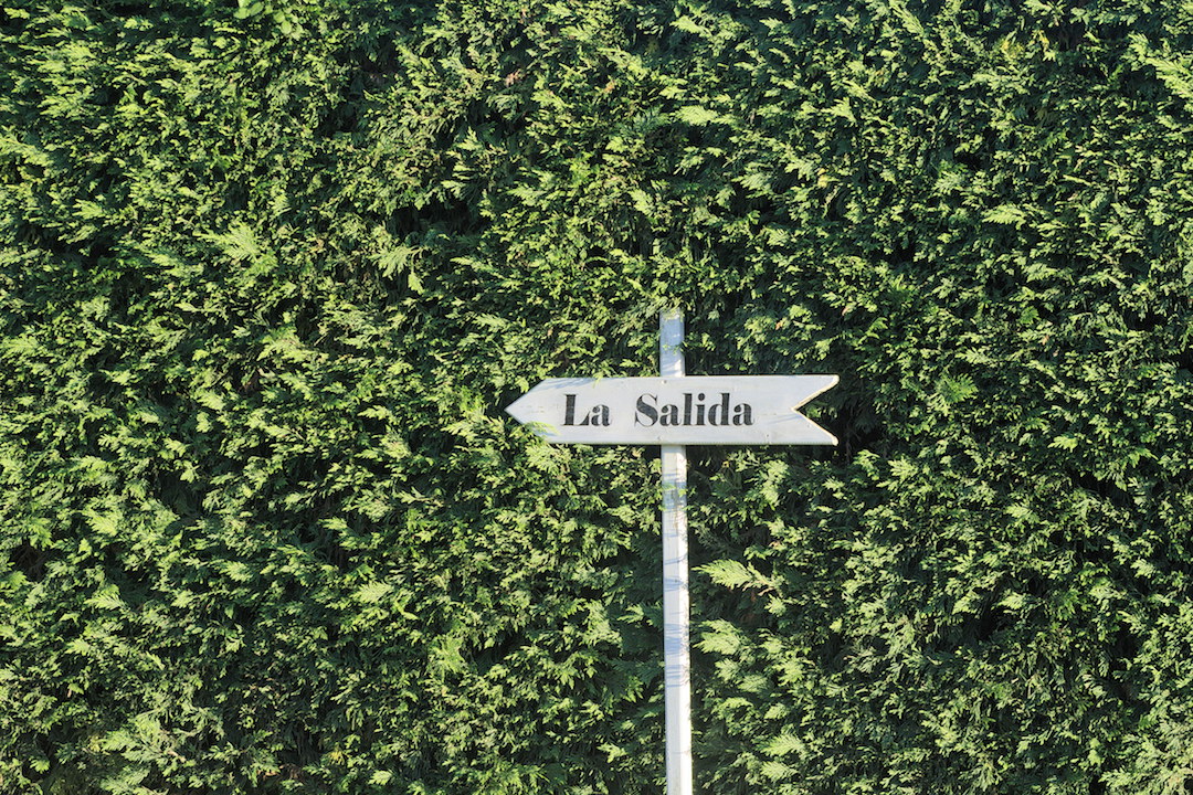 Zdjęcie tabliczki z napisem La Salida na tle wysokiego, zielonego żywopłotu
