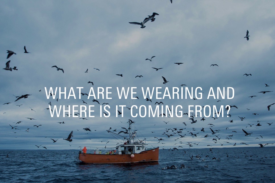 Picture of a ship with sea birds around it and text saying "What are we wearing and where is it coming from?"
